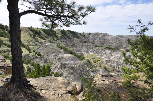 Montana's Makoshika State Park